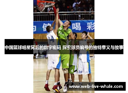 中国篮球明星背后的数字密码 探索球员编号的独特意义与故事