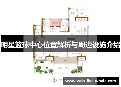 明星篮球中心位置解析与周边设施介绍
