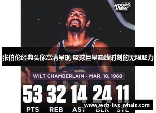 张伯伦经典头像高清呈现 篮球巨星巅峰时刻的无限魅力