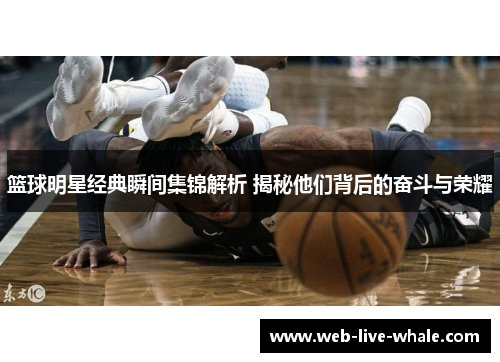 篮球明星经典瞬间集锦解析 揭秘他们背后的奋斗与荣耀