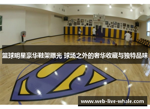 篮球明星豪华鞋架曝光 球场之外的奢华收藏与独特品味