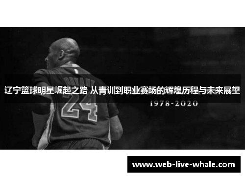 辽宁篮球明星崛起之路 从青训到职业赛场的辉煌历程与未来展望