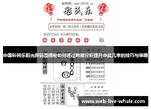中国彩民乐阳光探码图揭秘如何通过数据分析提升中奖几率的技巧与策略