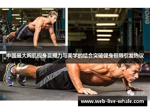 中国最大胸肌现身震撼力与美学的结合突破健身极限引发热议