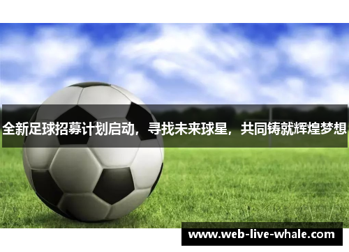 全新足球招募计划启动，寻找未来球星，共同铸就辉煌梦想