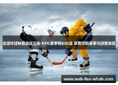 全球冰球联赛激战正酣 NHL赛季精彩纷呈 聚焦顶级赛事与球星表现