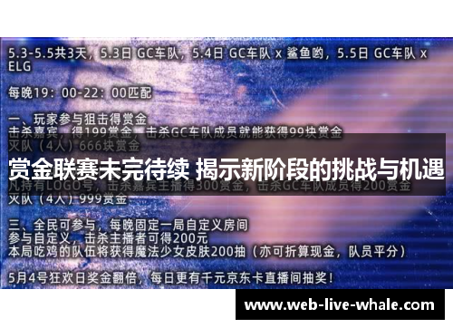 赏金联赛未完待续 揭示新阶段的挑战与机遇